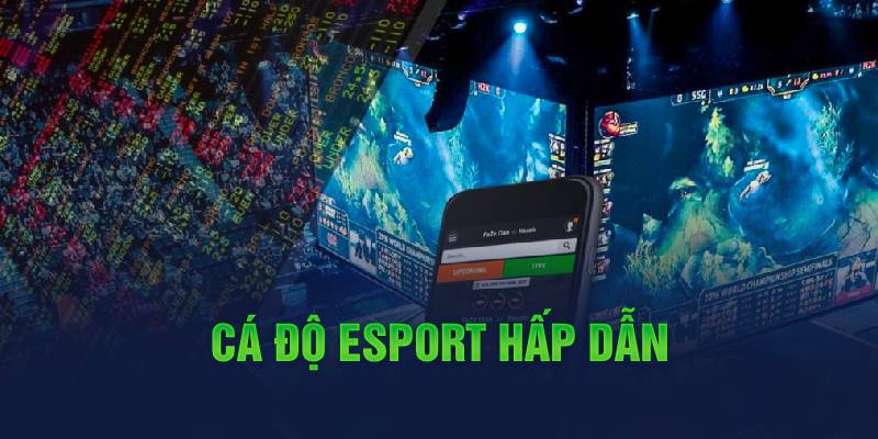 Cá độ Esport hấp dẫn